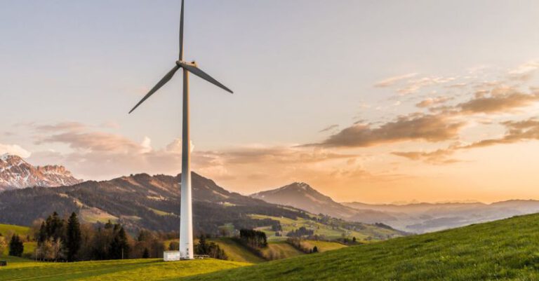 Sustainability - White Windmill