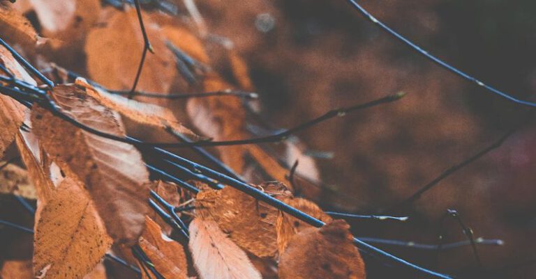 Change Management - Autumn_Magic