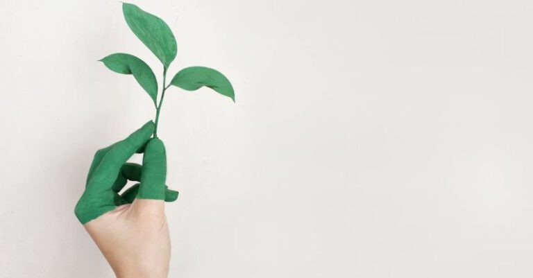 How Do Sustainability Efforts Enhance Brand Value?