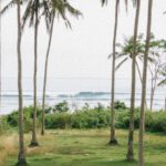 Green Initiatives - palm trees paradise
